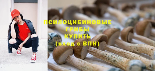 ALPHA-PVP Бородино