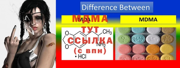 spice Богородицк
