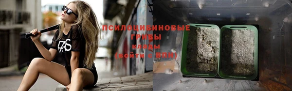 apvp Снежногорск