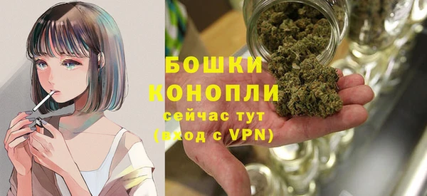 ешки Бронницы