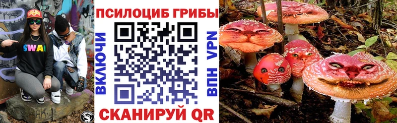 Псилоцибиновые грибы Cubensis  где купить наркоту  Кизилюрт 